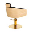 ALYA hairdressing chair