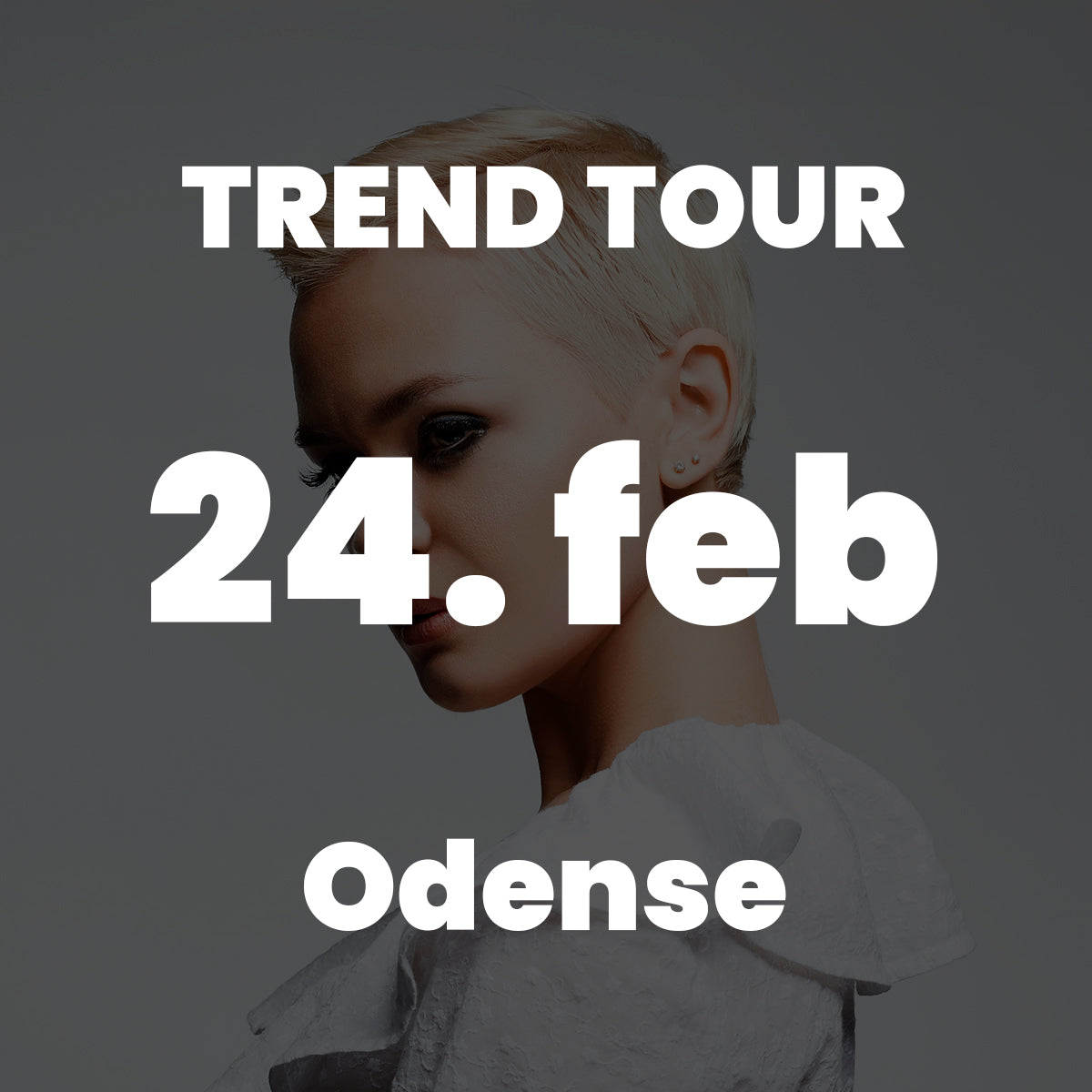 OD Point of Creation d. 24/2 26 
Kl. 19.00-21.00 
Erhvervsskolen, Munkebjergvej 130, 
5230 Odense M