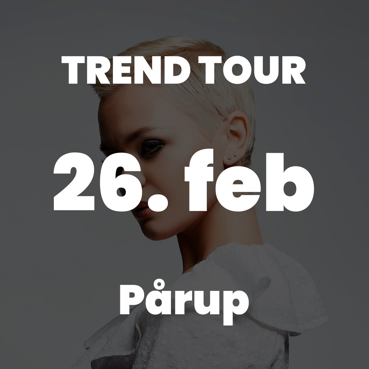 PÅ Point of Creation d. 26/2 26 
Kl. 19.00-21.00 
Frisørland, Juuls Vej 7, Pårup, 7442 Engesvang