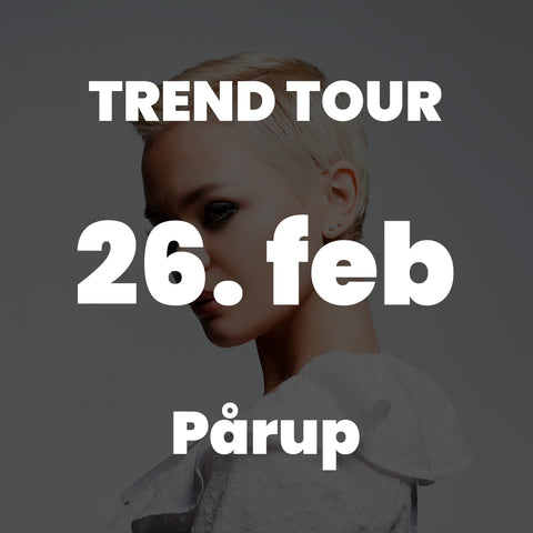 PÅ Point of Creation d. 26/2 26 
Kl. 19.00-21.00 
Frisørland, Juuls Vej 7, Pårup, 7442 Engesvang