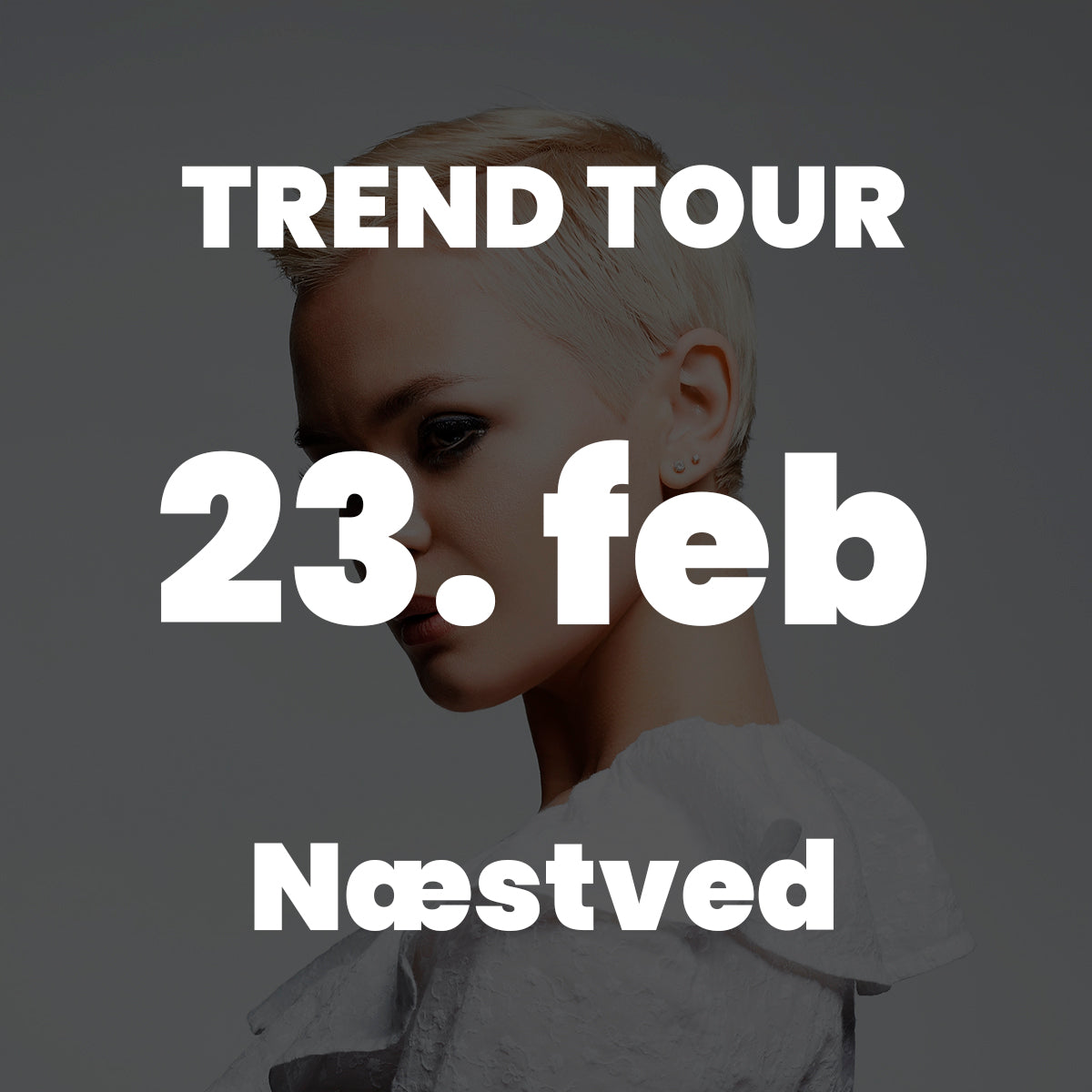 NÆ Point of Creation d. 23/2 26 
Kl. 19.00-21.00 
Hotel Kirstine, Købmagergade 20, 4700 Næstved